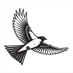 Bird Vector 