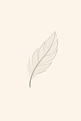 Minimalist feather sketch on light beige background

