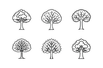 elm line art vector illustration, set of trees vector