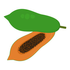 whole and split papaya. tropical fruit. vector illustration