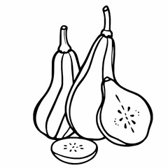 Black Outline Vector of Ridge Gourd Turai with Whole and Cross-Section Slices Isolated on a White Background