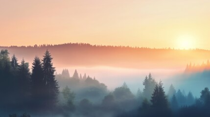 Fototapeta premium Serene sunrise over misty forest landscape.