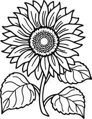 Sunflower illustration with detailed petals and leaves in black and white line art