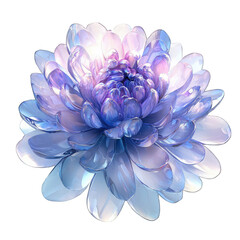 Fototapeta premium Iridescent blue and violet chrysanthemum flower. Centered bloom with layered translucent petals on white. Calm elegance and renewal. For branding, wellness ads, and floral invitations.