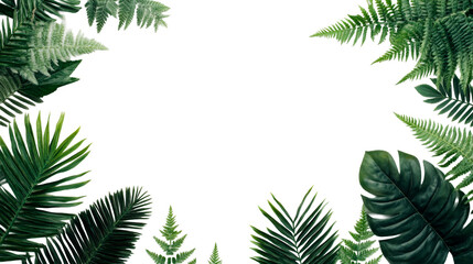 Tropical foliage frame against black background, cutout transparent
