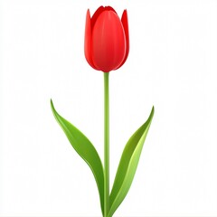 Vibrant red tulip with green stem and leaves, isolated against a white background