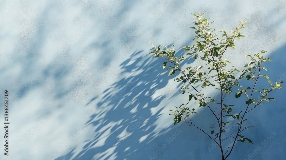 Aufkleber minimalist plant casting a shadow on a wall creating an artistic and calming ambiance for modern spa