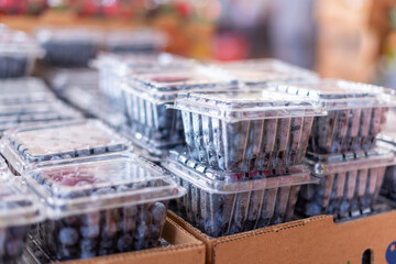 Multiple clear square plastic containers of organic blueberries for sale at a farmer's market. The...
