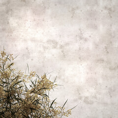stylish textured old paper square background with golden wreath wattle flowers