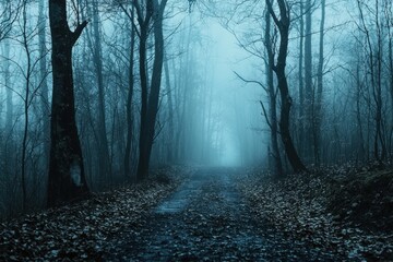 Obraz premium In the Heart of the Dark Forest: A Journey Through Nature's Whispering Weather Phenomena