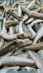 Fish for sale in a store. Frozen fish carcasses in a freezer close-up. Fish store. Fish without head and tail