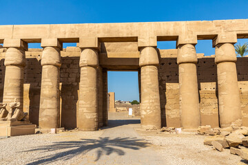 Fototapeta premium Karnak temple in Luxor, Egypt