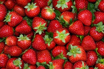 Deliciosos fresas congeladas en un plato lleno de colores vivos y texturas vibrantes