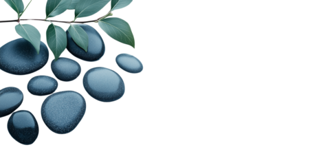 Charcoal Grey Stone Pebbles with Leaves with no background