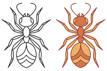 Ant Line Art and Colorful Version on White Background, Insect Illustration, Isolated