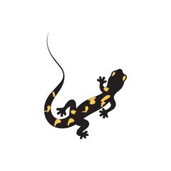 salamander logo design