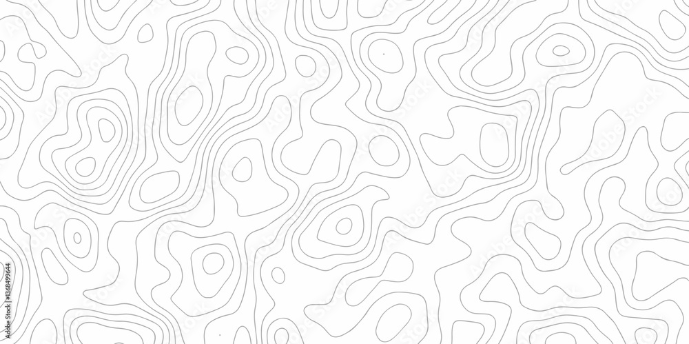 Poster abstract curve grid map and topo contour map on white background, topographic contour lines. seamles