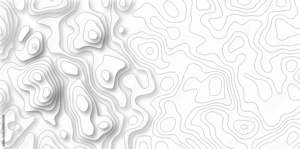 Poster abstract curve grid map and topo contour map on white background, topographic contour lines. seamles