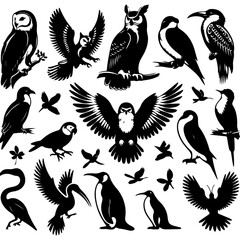 Different bird species like eagles, owls, parrots, penguins, and hummingbirds in elegant silhouette designs.