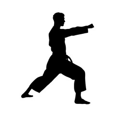 silhouette of a man practicing karate - vector illustration