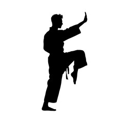 silhouette of a man practicing karate - vector illustration