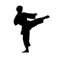 silhouette of a man practicing karate - vector illustration