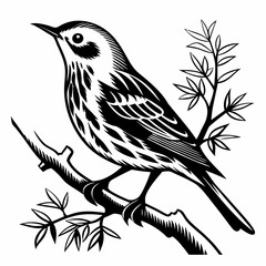 yellow warbler black silhouette icon vector