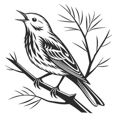 yellow warbler black silhouette icon vector