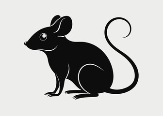 black and white rabbit