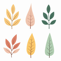 Obraz premium Leaves set illustration vector white background collection 