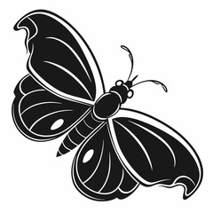 Woodpecker black silhouette icon vector