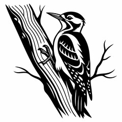 Woodpecker black silhouette icon vector