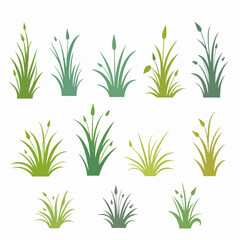 Green grass Set Illustration on a white background, grass set icon	