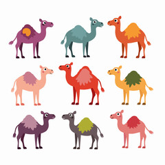 Set of camel vector illustrations on white background	