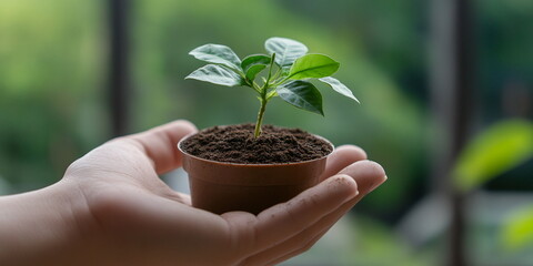 Coffee cup surrounded by green leaves on white wooden background  