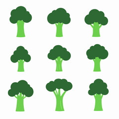 Set of Broccoli vector illustrations on white background	