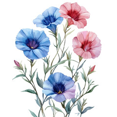 A watercolor vector of a petunia, isolated on a white background. petunia vector

