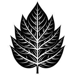 Ash Leaf Silhouette Vector