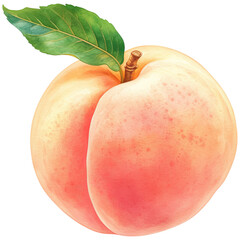A ripe peach with a smooth, pinkish skin and a green leaf attached to its stem.