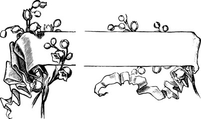 Botanical Corner Flourishes and Floral Borders