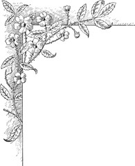 Botanical Corner Flourishes and Floral Borders