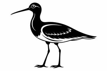 Willet black silhouette vector