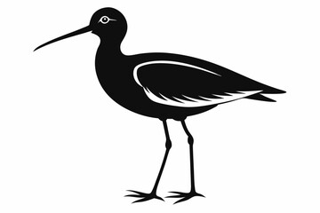 Willet black silhouette vector