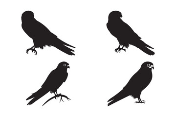 Bird Silhouette Vector Illustration Black Bird Clipart Flying and Perched Bird Art