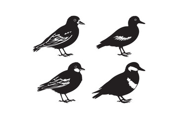 Black and White Bird Silhouette Vector Illustration Nature Wildlife Art