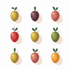 Vector illustration of a set of black and green olives.