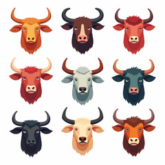 Set of cartoon animals crow face
