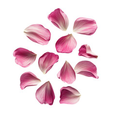 Pink petals falling vibrant abstract art floral design