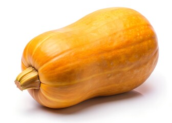 Butternut Squash: A vibrant butternut squash, isolated and expertly lit, showcases its smooth, golden-orange skin, perfect for culinary projects and seasonal themes.