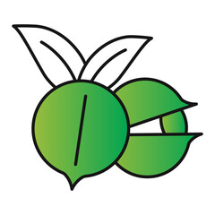 Grape Seed Oil Bottle Icon for Beauty and Wellness Products